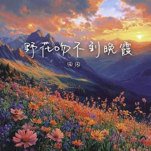 野花吻不到晚霞 (车载DJ版)