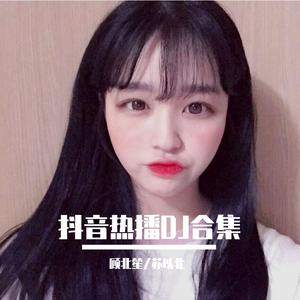 奇迹再现 (DJ版)