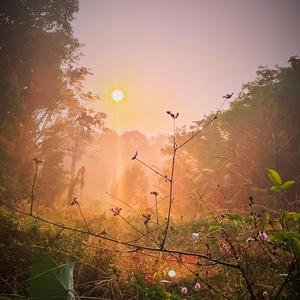 athiraville (feat. k.v)