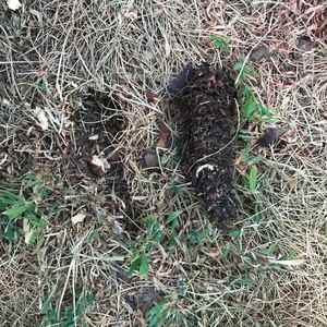 Yks (feat. Mahdi Khaleel)