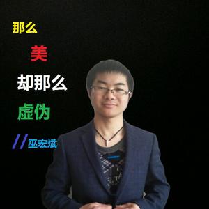 巫宏斌 - 那么美却那么虚伪