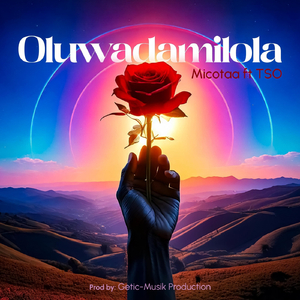 Oluwadamilola (feat. Tso)
