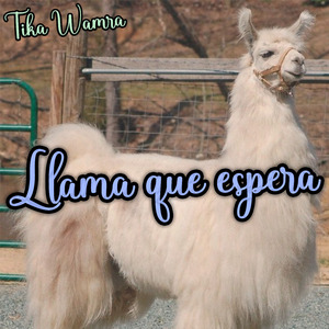La Llama Que Espera