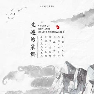 北迁的象群