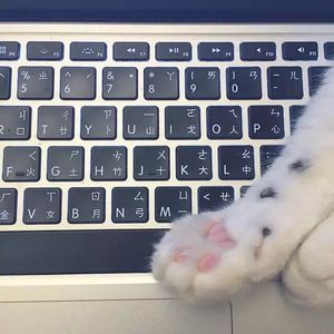 心愿便利贴（翻自 元若蓝/吴忠明）