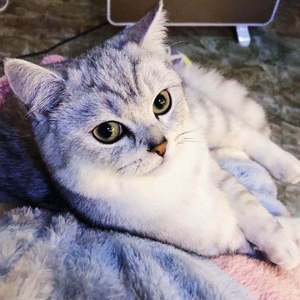 温岚-能不能（Nathaniel / Chimney remix）