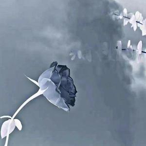 '21 Freestyle/ft+drethekid