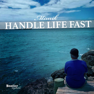 Handle Life Fast