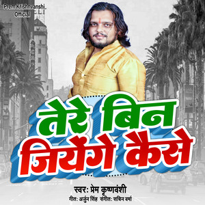 Tere Bin Jiyege Kaise