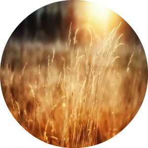 Savanah (Original Mix)