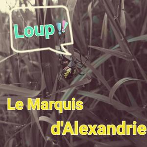 Loup (feat. White Boi Rick)