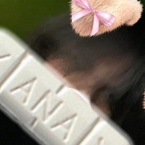 i relapsed again lol