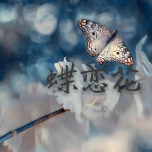 蝶恋花【简版】
