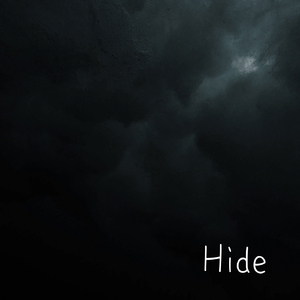 Hide