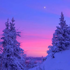 冬日梦Winter Dreams