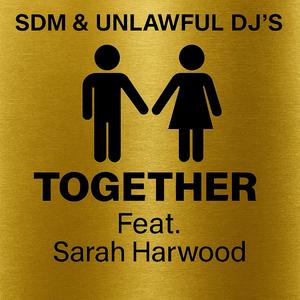 Together (feat. Sarah Harwood) (Radio Edit)