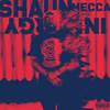 Shaun Mecca - They Aint Down