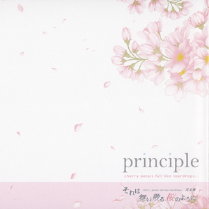 principle