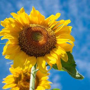 All I can see is you