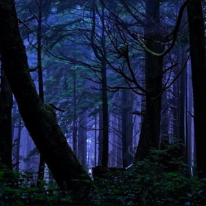 toxic (prod. jay vee)