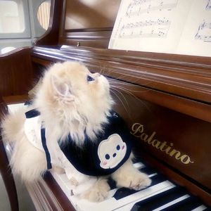 你就不要想起我