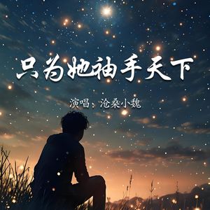 只为她袖手天下