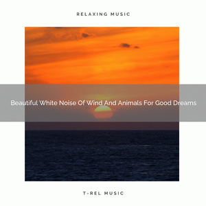 Beautiful White Noise Of Wind And Animals For Good Dreams