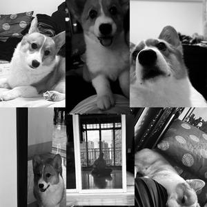 感谢你来过我的世界