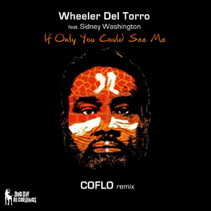 If Only You Could See Me (Coflo Remix)