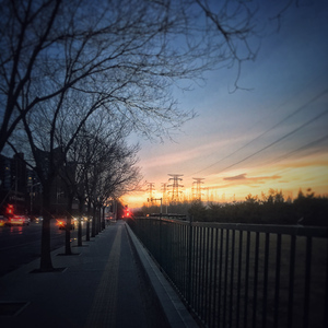 追光者（Cover 岑宁儿）