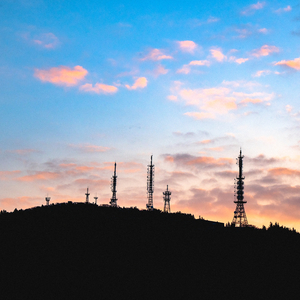 夜明けと蛍 (Cover)