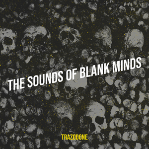 The Sounds of Blank Minds
