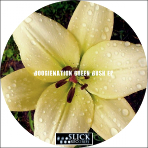 Jeffrey's Bay (Original Mix)