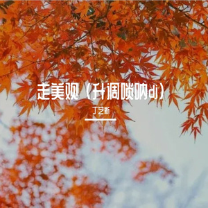 走美观 (G调DJ唢呐)