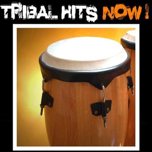 Saxada (Electro Tribe Mix)