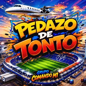 Pedazo De Tonto