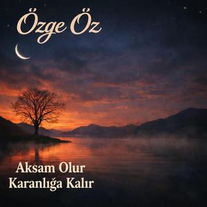 Akşam Olur Karanlığa Kalırsın (Oy Gelin)
