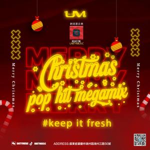 UnityMusic - Christmas Pop Hits Megamix