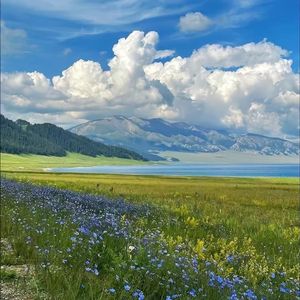 澶ф紶瀛ょ儫鐩