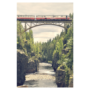 기억에 남는 순간