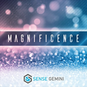 Magnificence