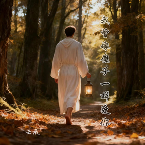 我曾像傻子一样爱你