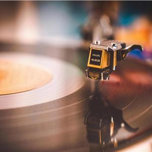 Where the Canyon Meets the Sea