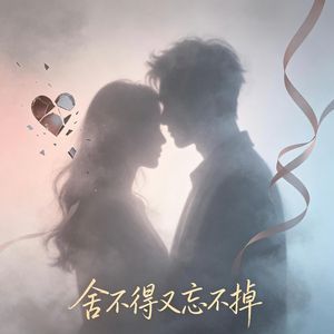 舍不得又忘不掉
