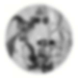 Calm Is the New Cool