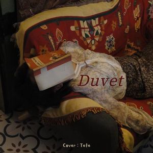 Duvet