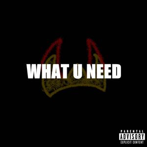 WHAT U NEED