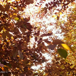 刻骨铭心的记忆