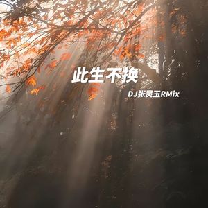 卢卢快闭嘴-此生不换 DJ张灵玉RMix
