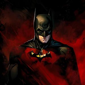 The Batman x Dark Knight